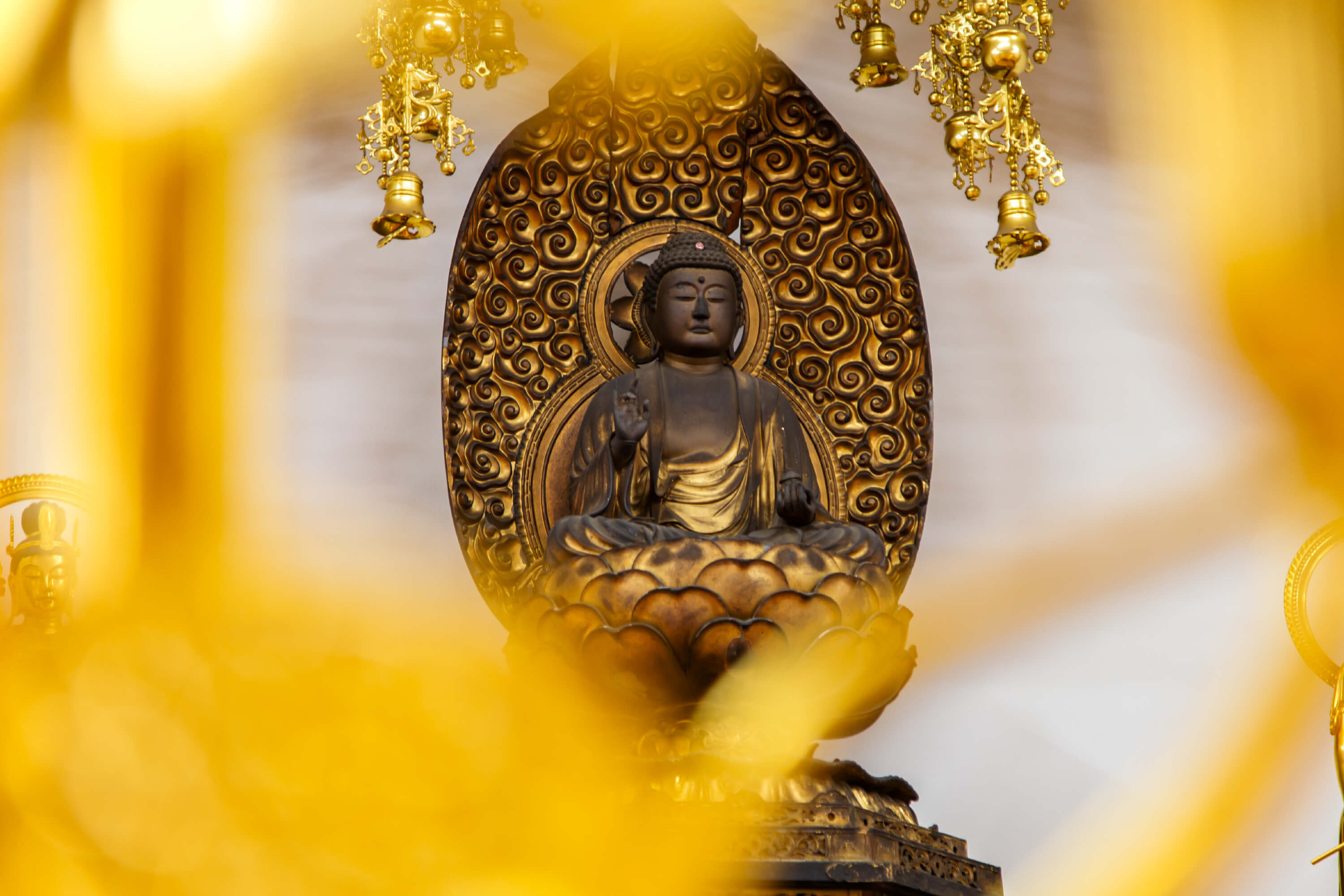 大龍寺 薬師瑠璃光如来
